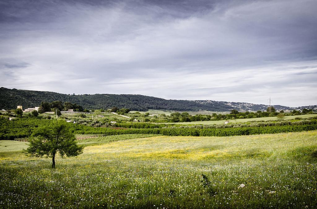 Masseria Mazzalorsa Alberobello Eksteriør bilde